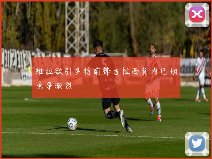 维拉欲引多特前锋吉拉西费内巴切竞争激烈
