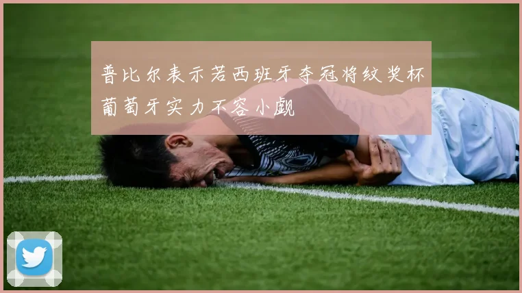 普比尔表示若西班牙夺冠将纹奖杯葡萄牙实力不容小觑