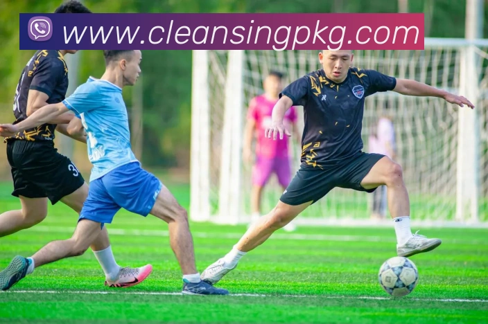 米兰体育在线登录入口服务体系